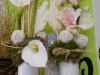 dscn0059
