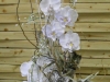 dscn0196