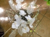 dscn0197
