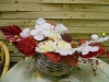 dscn0207