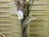 dscn0222