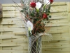 dscn0226