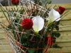 dscn0227