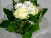 cimg2932