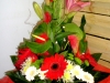 cimg3039