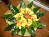 dscn0001