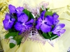 dscn0048