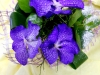 dscn0051