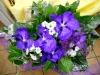 dscn0064