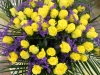 dscn0110