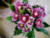 dscn0127