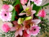 dscn0128
