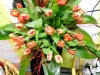 dscn0159