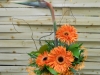 dscn0202
