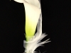kvety50_001