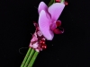 kvety58_001
