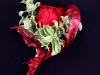kvety59_001