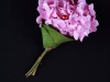 kvety60_002