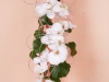 kvety13_001