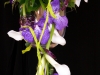 kvety15_001