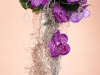 kvety23_007