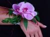 kvety44_001