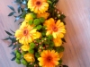 2009-07-04-09-39-05