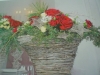 cimg0056