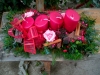 cimg0486-1