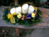 cimg0580