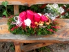 cimg0647