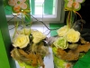dscn0135