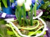 dscn0137