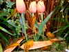 dscn0141