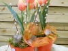 dscn0168