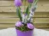 dscn0171
