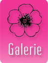 Galerie
